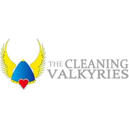 The Cleaning Valkyries