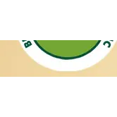 BROTHERS SERVICES TREE CARE INC