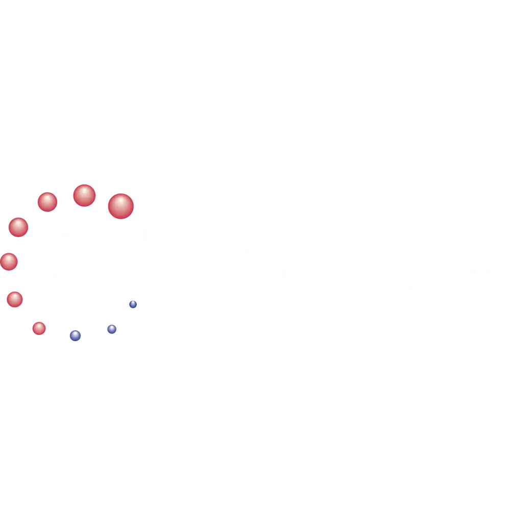 All-Pro Services Inc