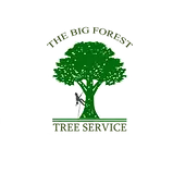 The Big Forest Tree Service Corp.