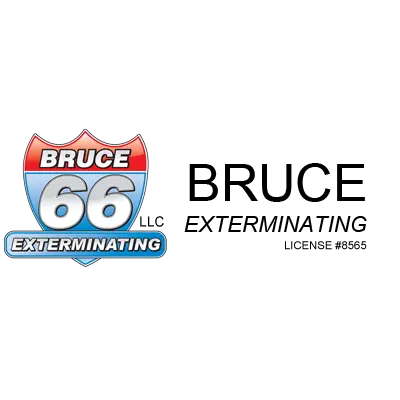 Bruce Exterminating