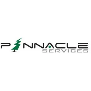 PINNACLE SERVICES INC.