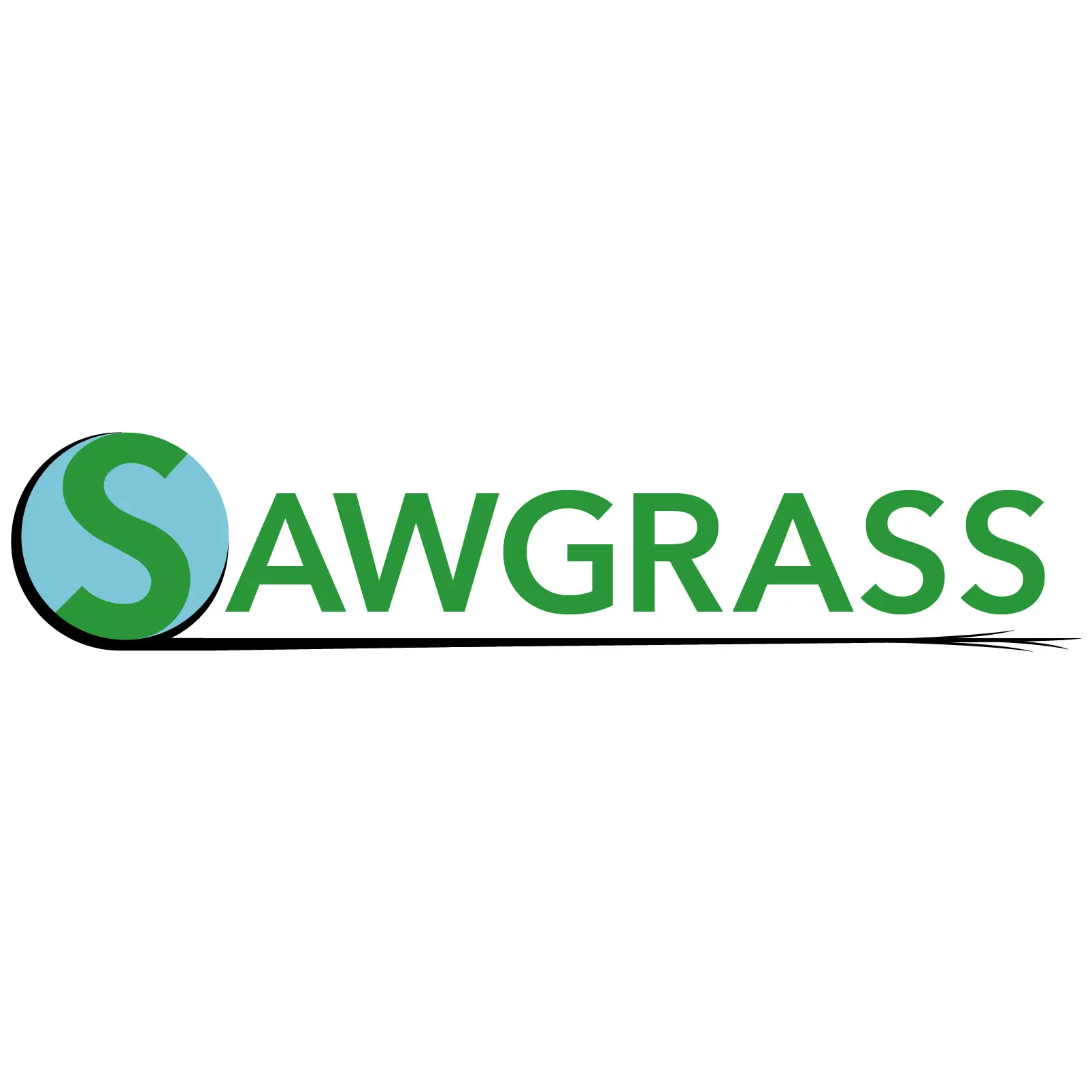Sawgrass Consulting, LLC