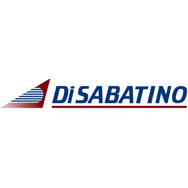 DiSabatino Construction Company