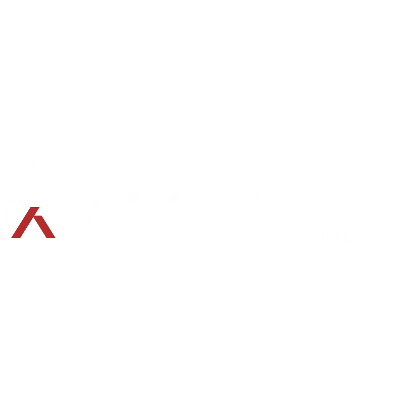 ABSOLUTE RSD LLC