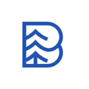 BLUE PINE PAINTING LLC