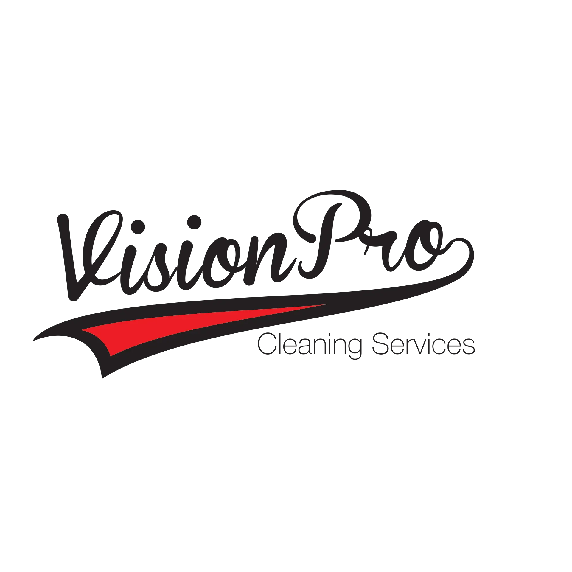 Vision Pro Cleaning Services