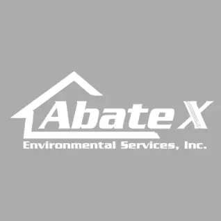 AbateX Environmental Services, Inc.