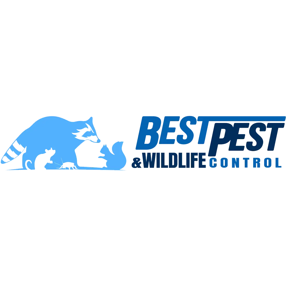 Best Pest & Wildlife Control LLC