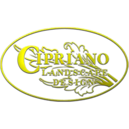 Cipriano Landscape Design and Custom Swimming Pools