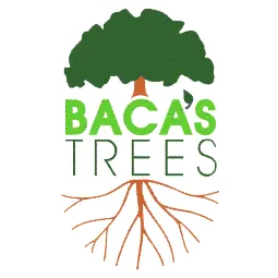 Baca's Trees, Inc.