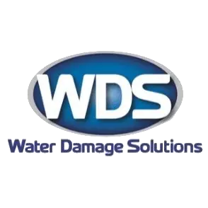WDS WATER DAMAGE SOLUTIONS INC