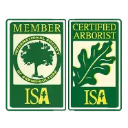 Arbor-Scapes Consulting LLC