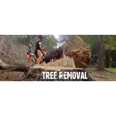A&S Tree Service LLC