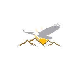 New Day Floors LLC