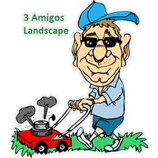3 Amigos Landscape & Maintenance