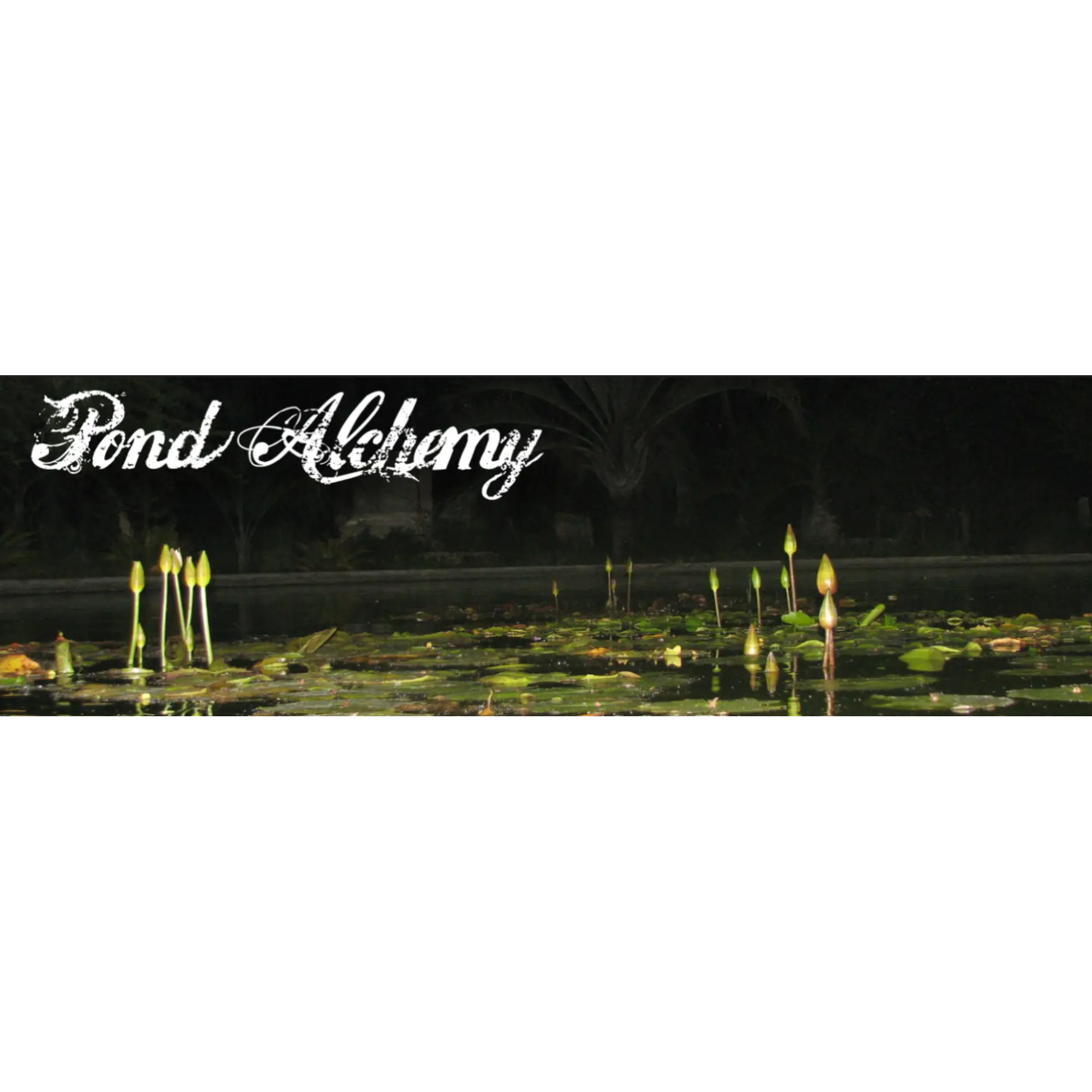 Pond Alchemy