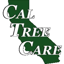 CAL TREE CARE INCORPORATED