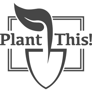 Plant This Outdoor Services