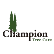 CHAMPION TREE CARE LLC