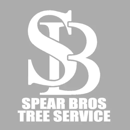 Spear Bros Tree Service LLC