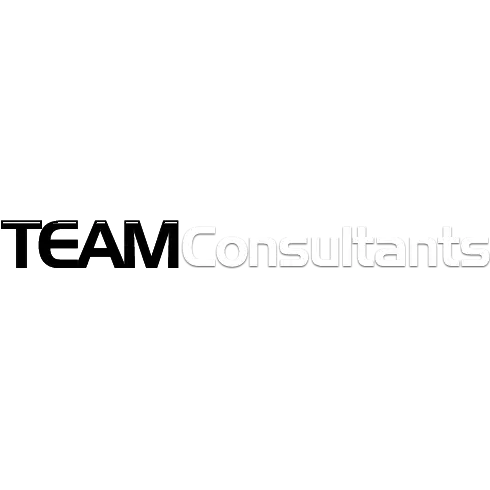 TEAM CONSULTANTS INC