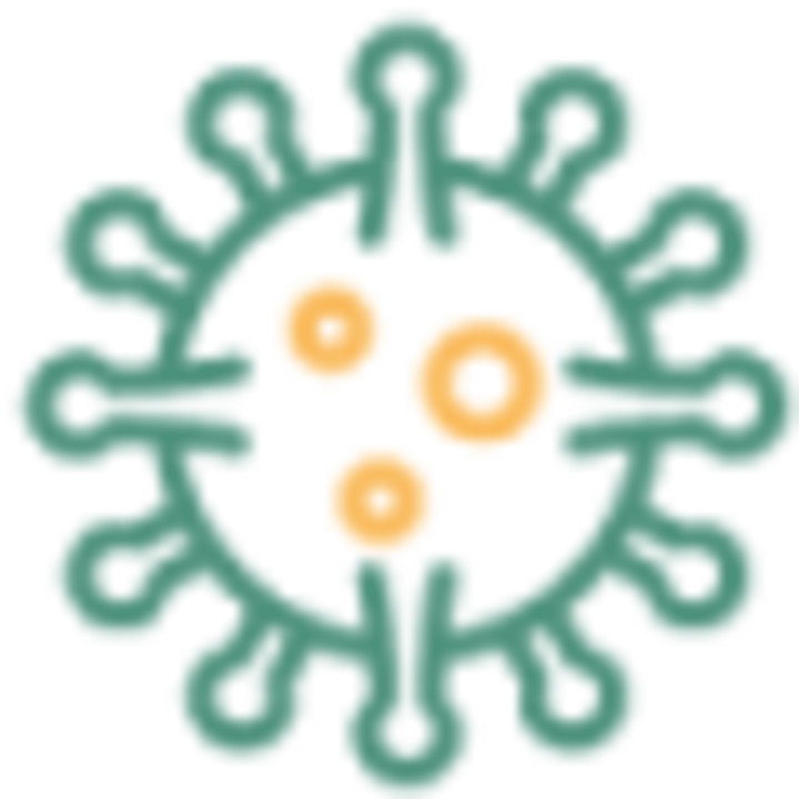 Sun City Mold Experts