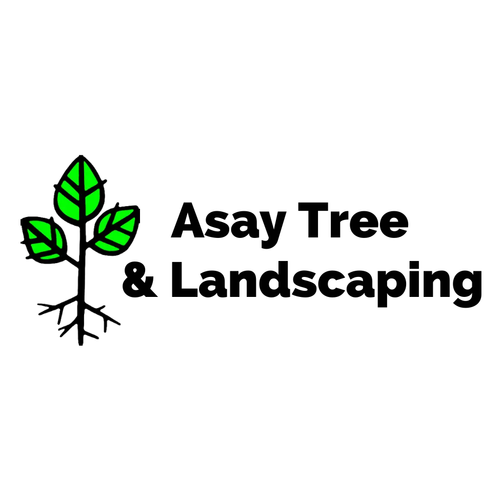Asay Tree & Landscaping Inc