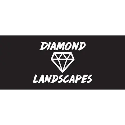Diamond Landscapes