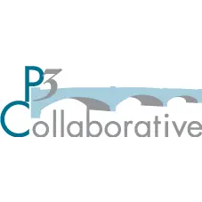 P3 Collaborative LLC