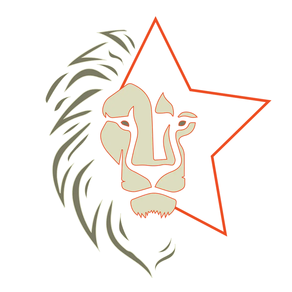 LionStar Roofing & Exteriors LLC