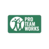 Pro Team Works, Inc.