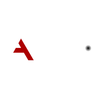 LIGHT ACTION INC