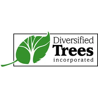 Diversified Trees Inc