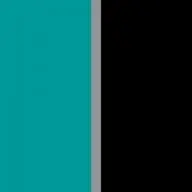 Elizabeth Swartz Interiors LLC