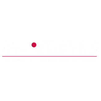 ALL-GUARD ALARM SYSTEMS INC