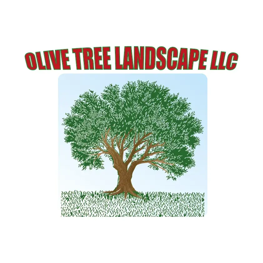 OLIVE TREE LANDSCAPE LLC