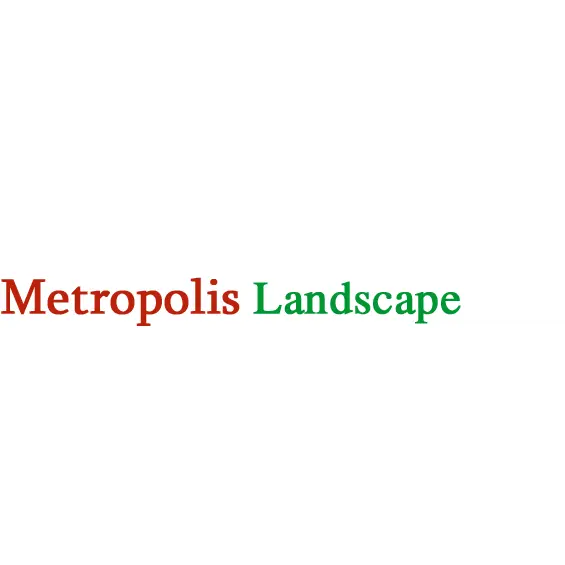METROPOLIS LANDSCAPE