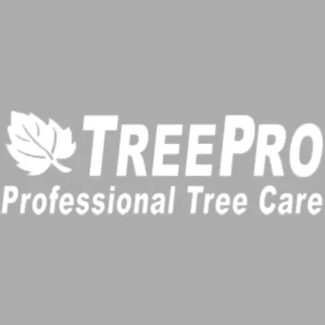 TreePro Professional Tree Care