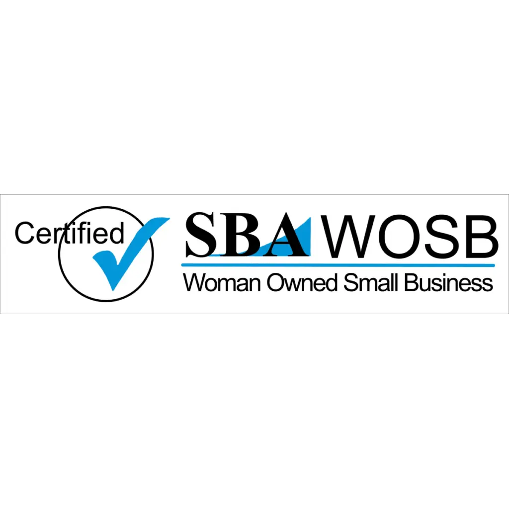 DYNAMIC INTEGRATED SECURITY INC