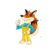 Fox Window & Gutter Cleaning