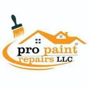 PRO PAINT REPAIRS LLC