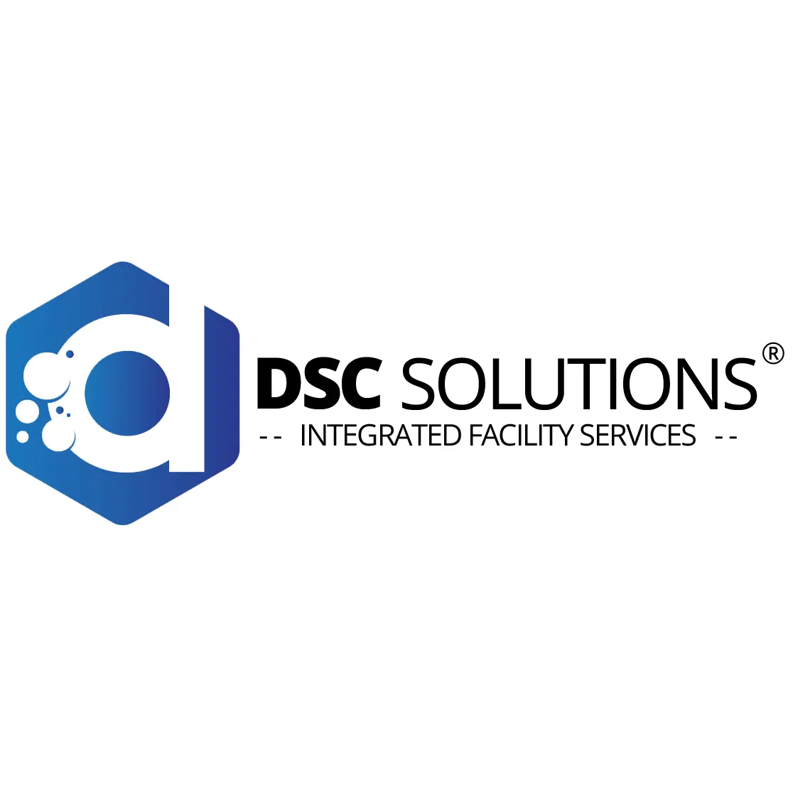DSC SOLUTIONS LLC
