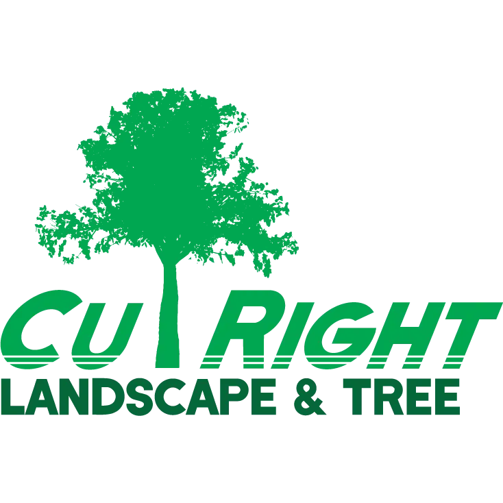 Cut Right Landscape & Tree, LLC
