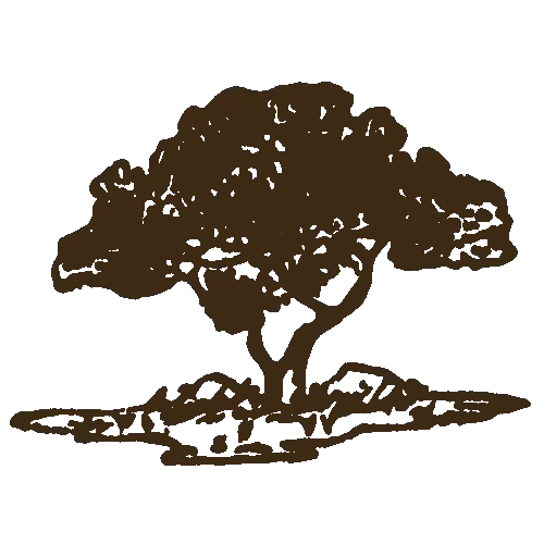 Paul Heyman's Tree Service, Inc.