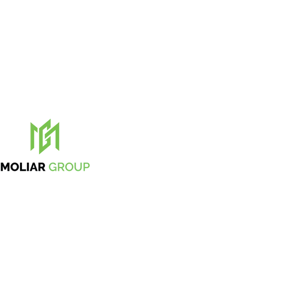 MOLIAR GROUP LLC