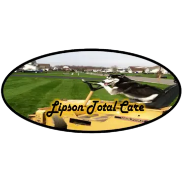 Lipson Total Care Property Maintenance LLC