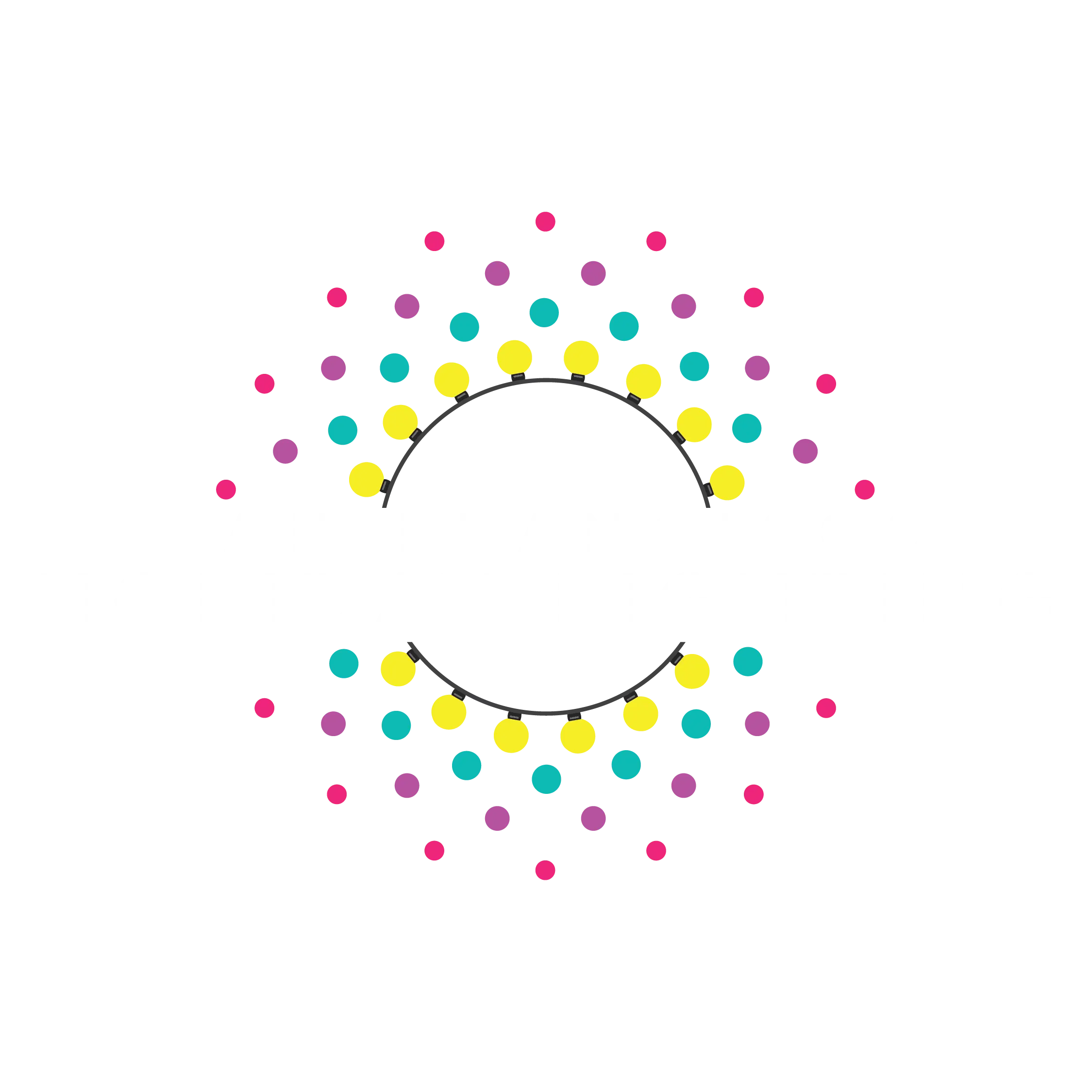 SAN FRANCISCO HOLIDAY LIGHTING INC