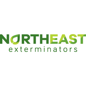 Northeast Exterminators