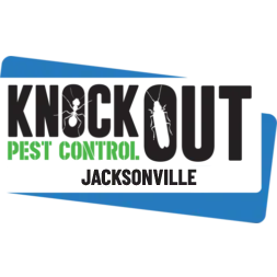 Knockout Pest Control